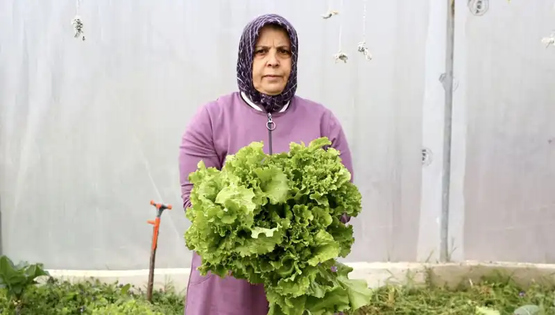 Emekli Olunca Hayalini Gerçekleştiren Kadın: Devlet Desteği ile Başarıya Ulaştı